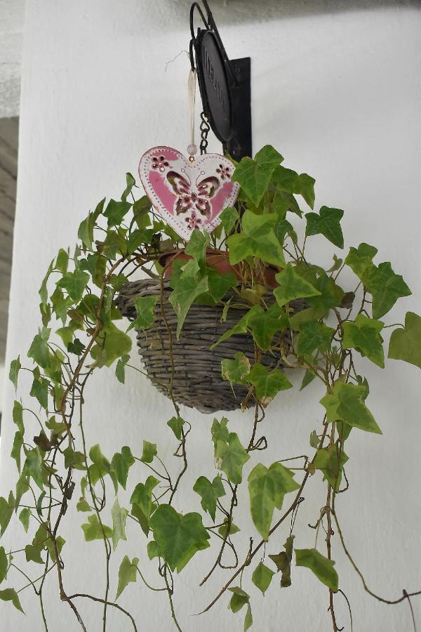 Giorgos-fenia Appartement *